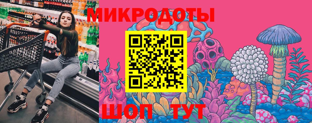 Псилоцибиновые грибы Psilocybe Мариинск